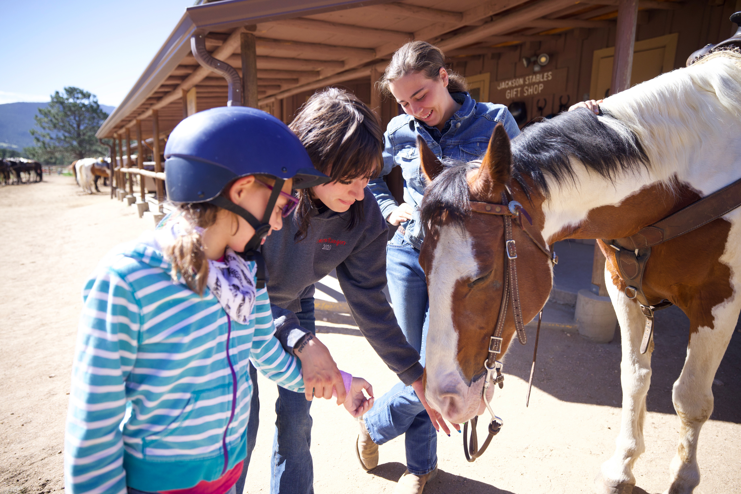 niños tocando un caballo