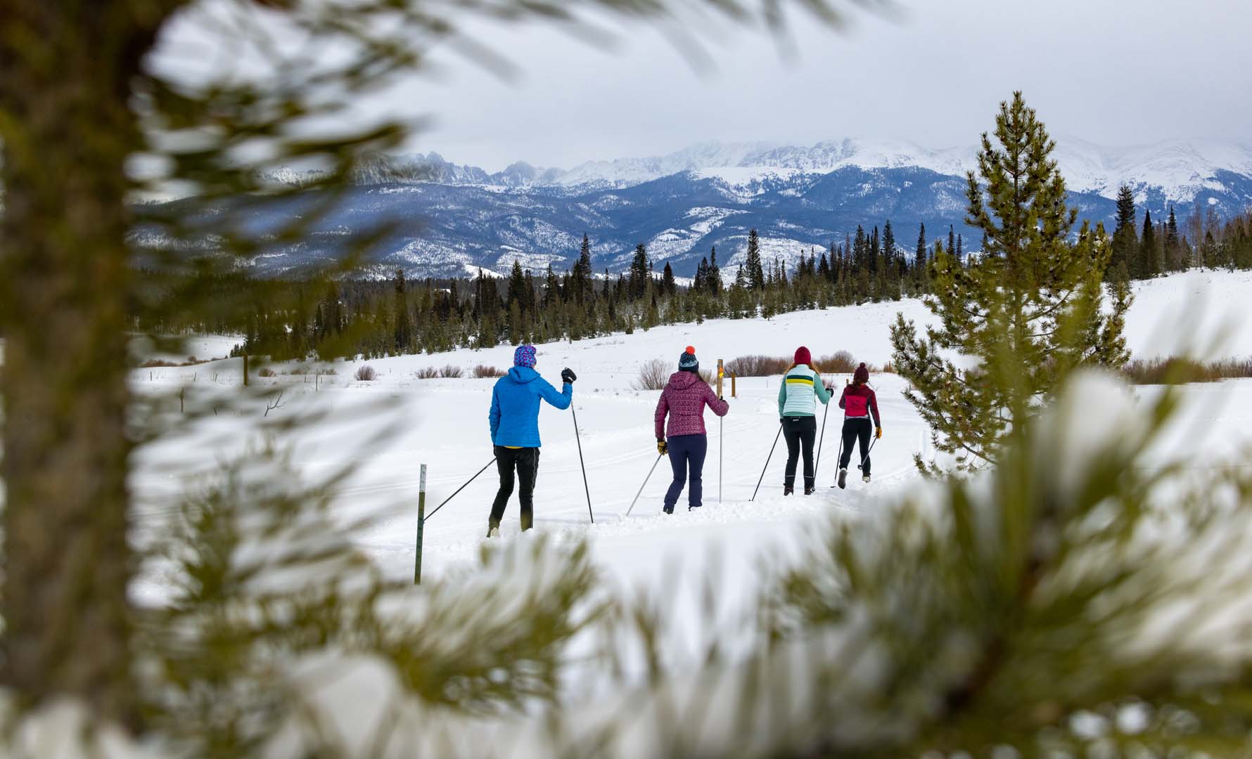 Four people cross country skiing with trees and mountains surrounding
