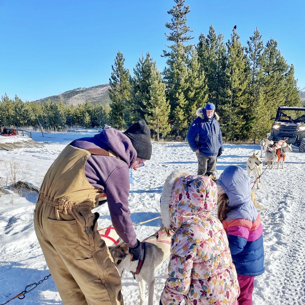 children and adults with sled dogs in snow