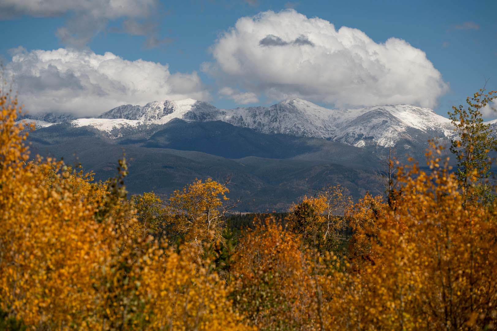 Nine Mile Mountain Trail