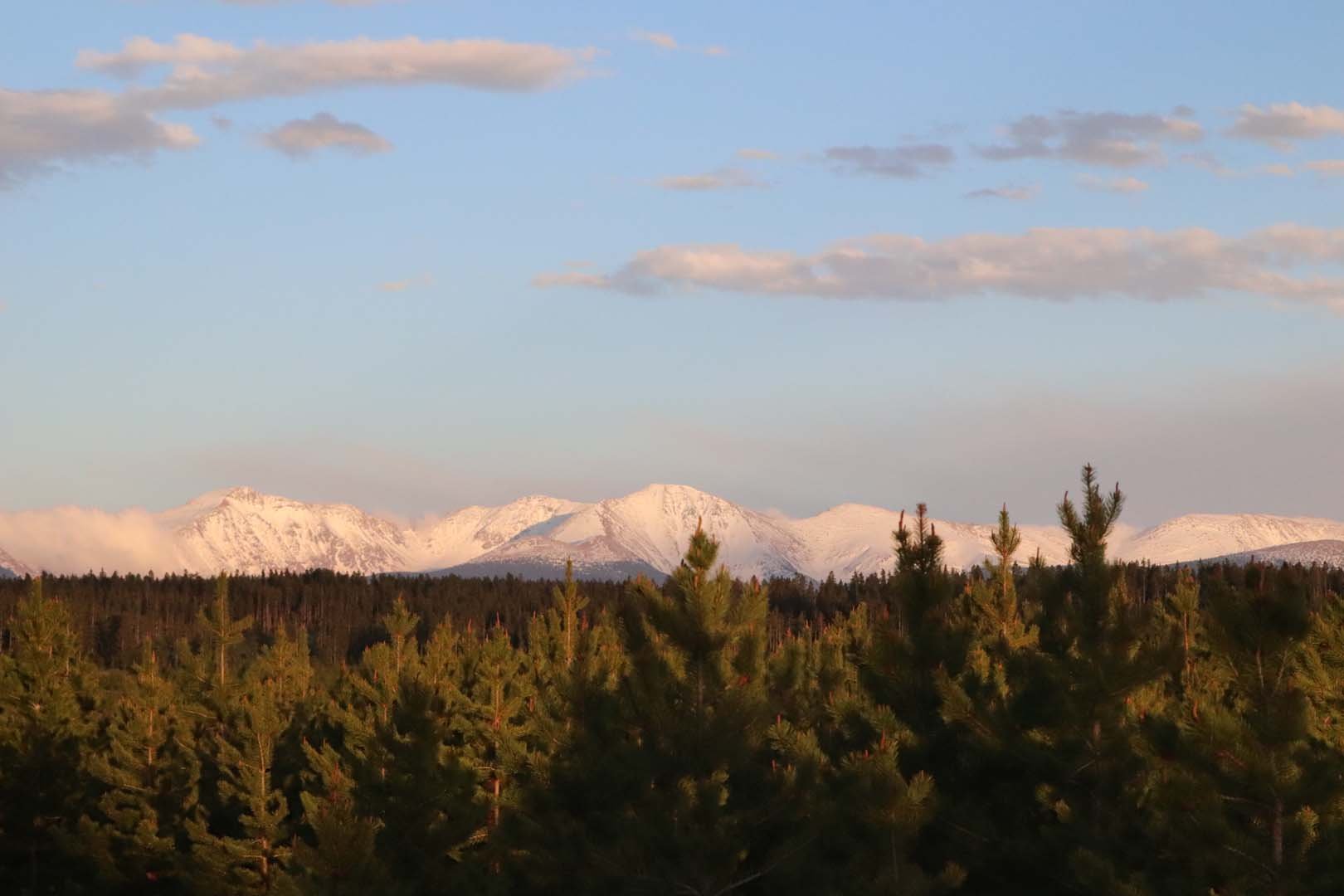 view of mountains and trees