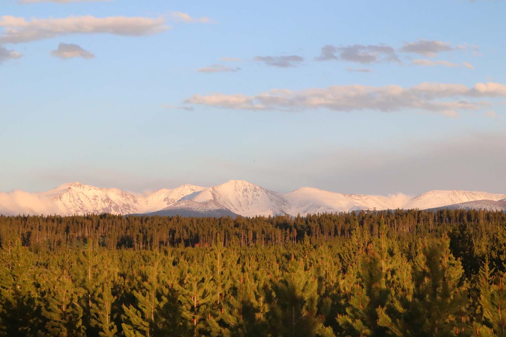 view of mountains and forest