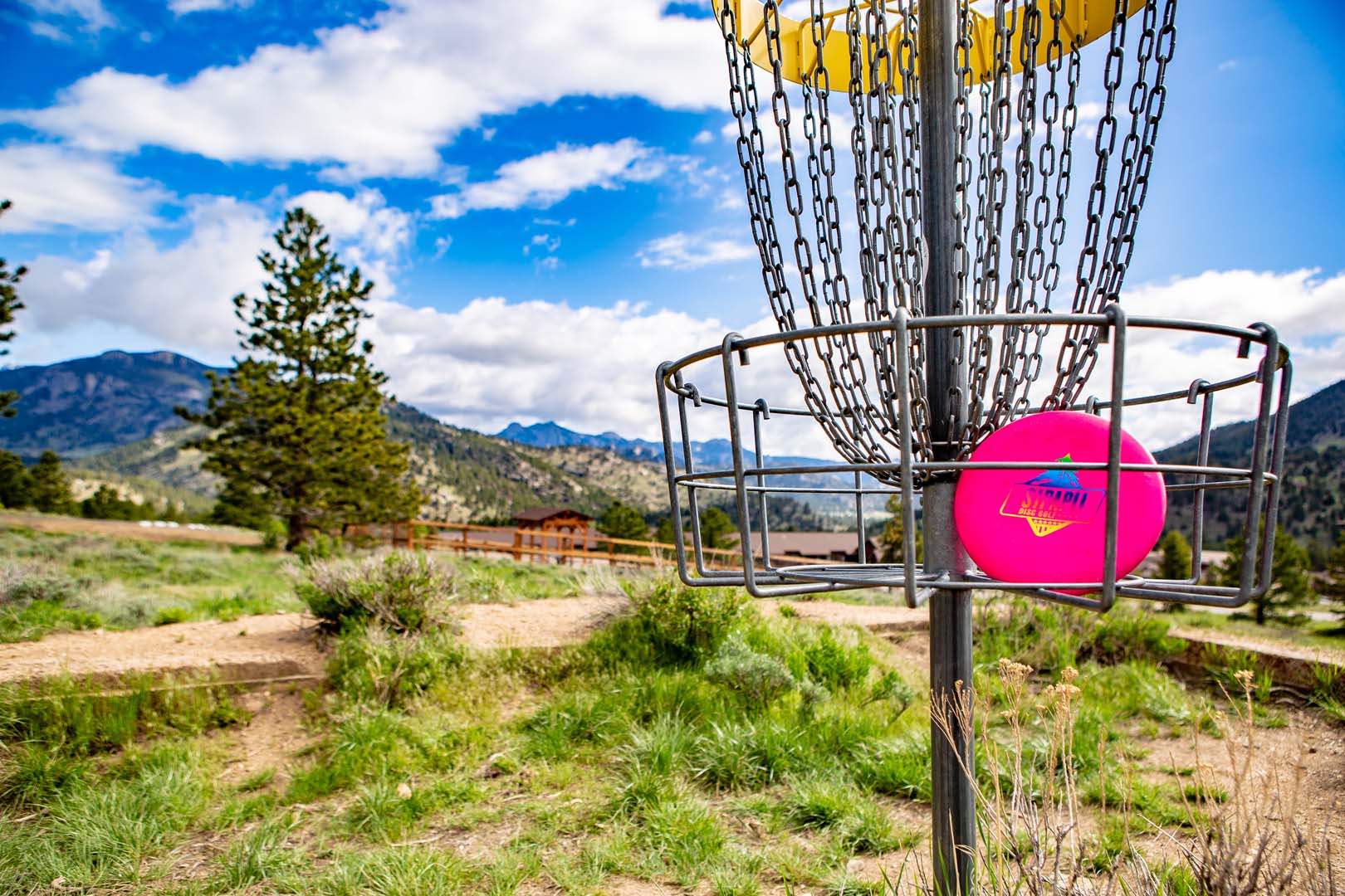 Disc golf with pink disc