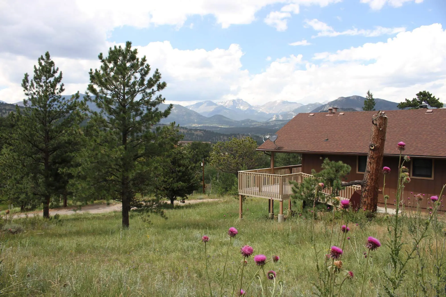 estes park cabin