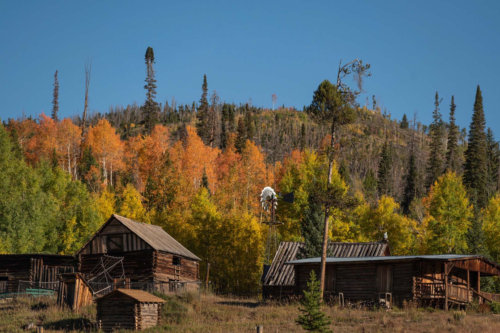 Edificios de madera en el bosque.