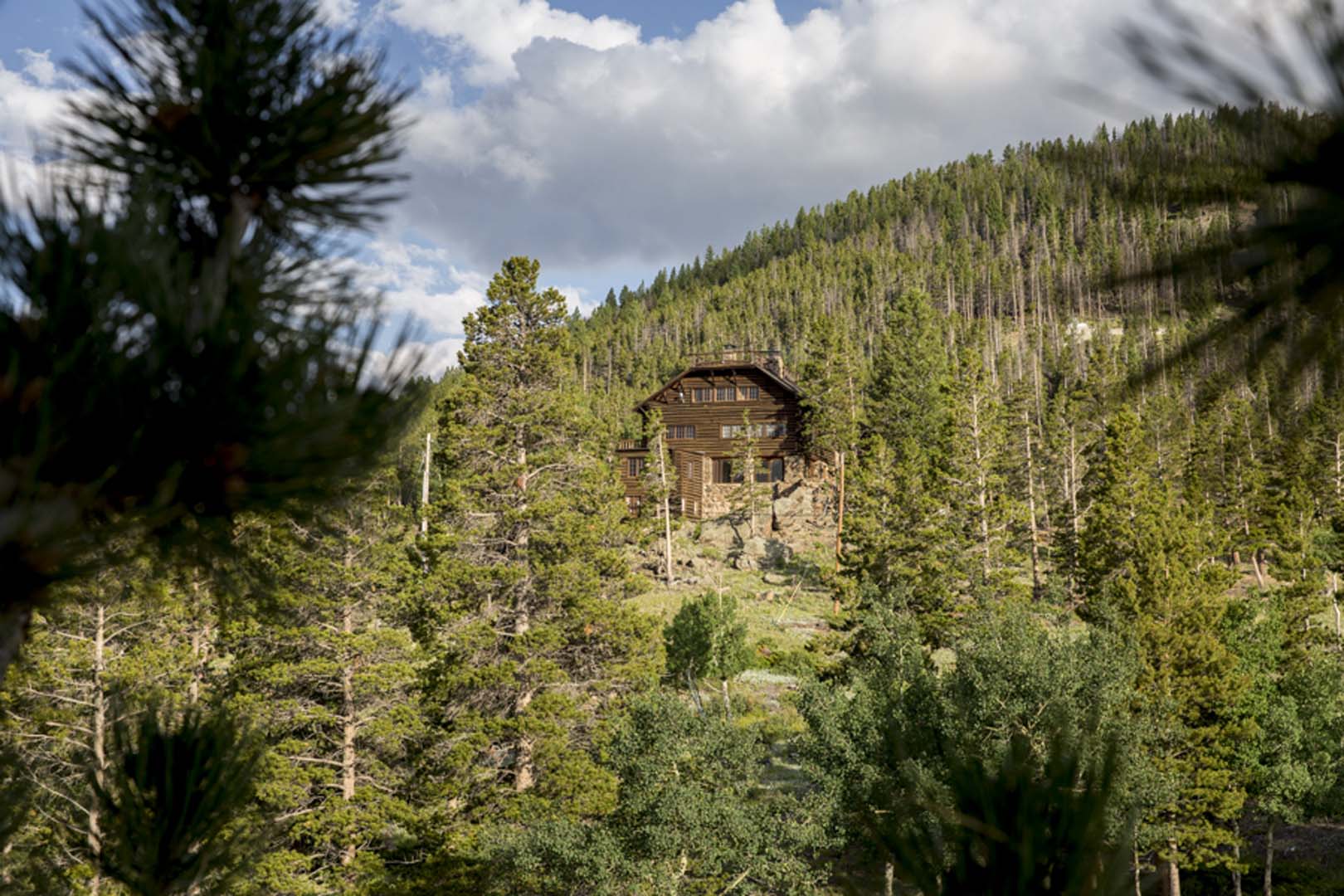 Historic cabin in the distance surrounded by trees