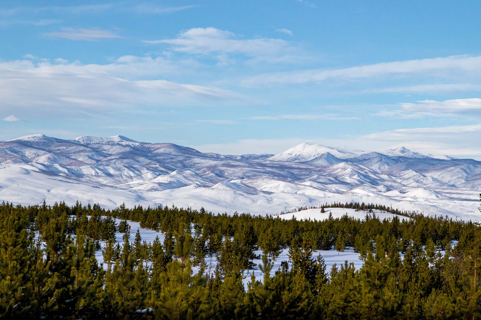 snowy mountains and forest