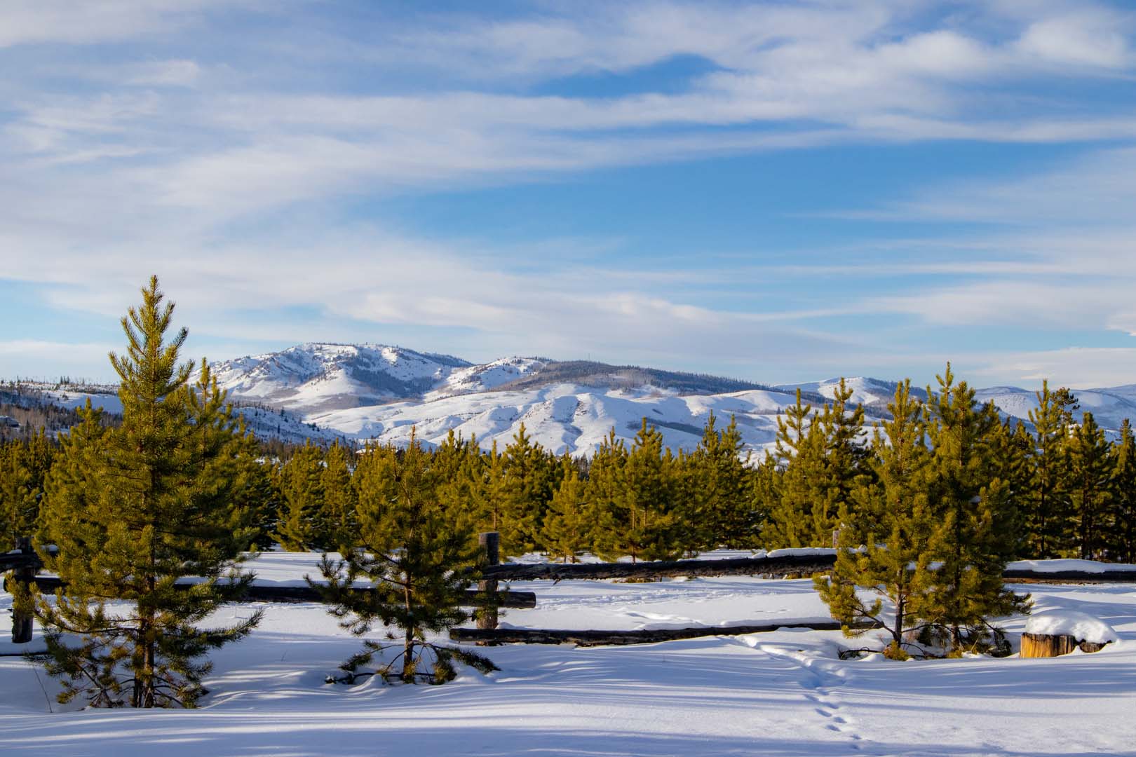 montañas nevadas con árboles