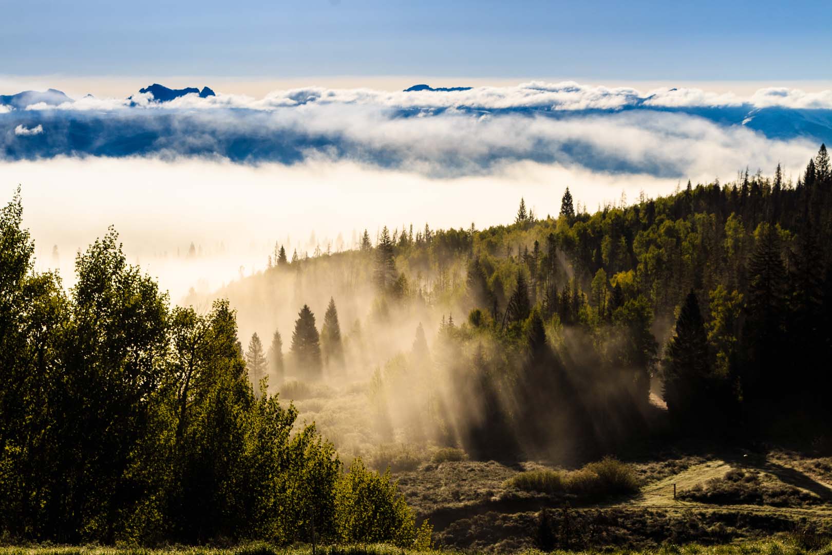 view of the forest with clouds in the mountain