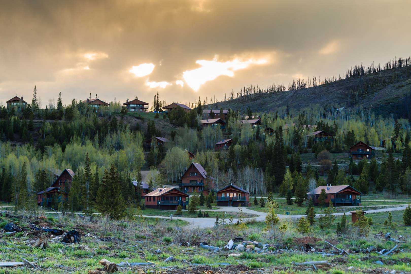 cabins up a hill