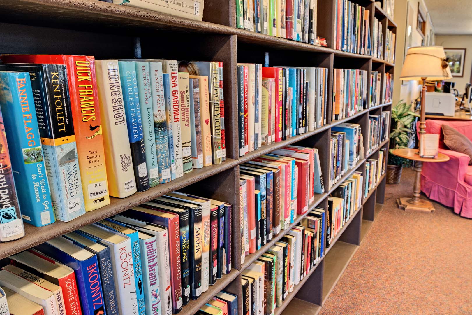 Library with book shelves