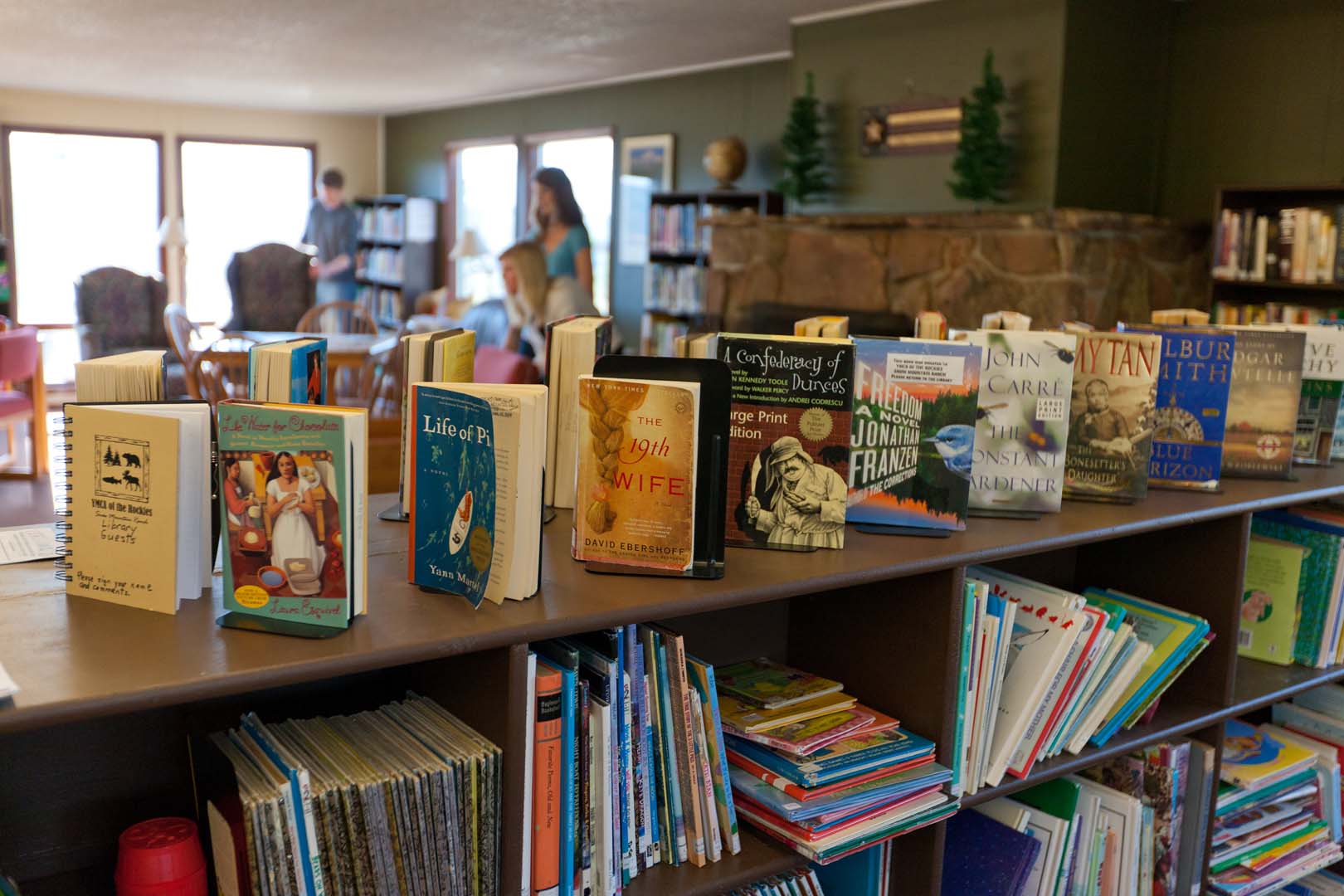 library with book shelves filled with books