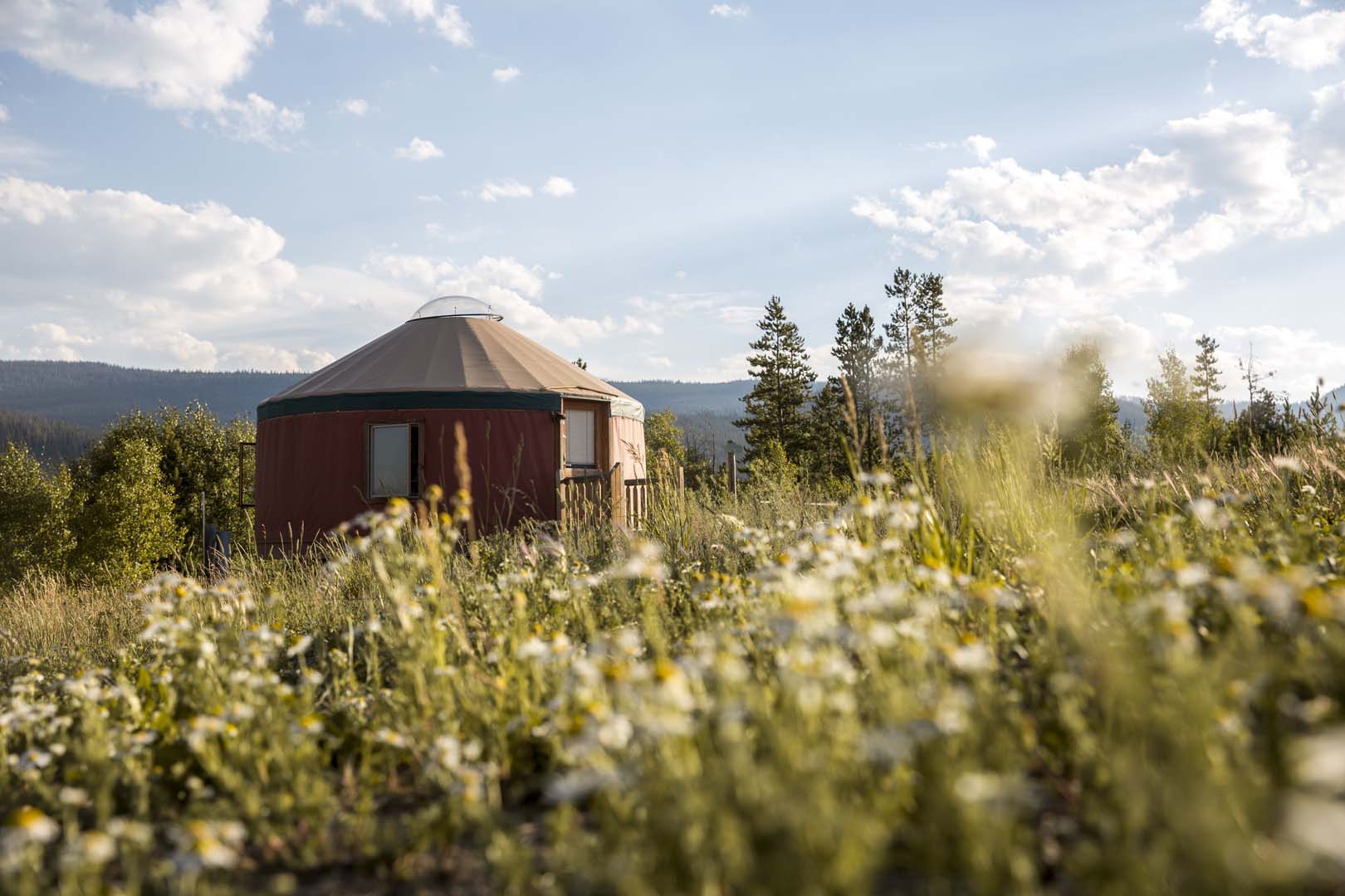 yurta en el campo