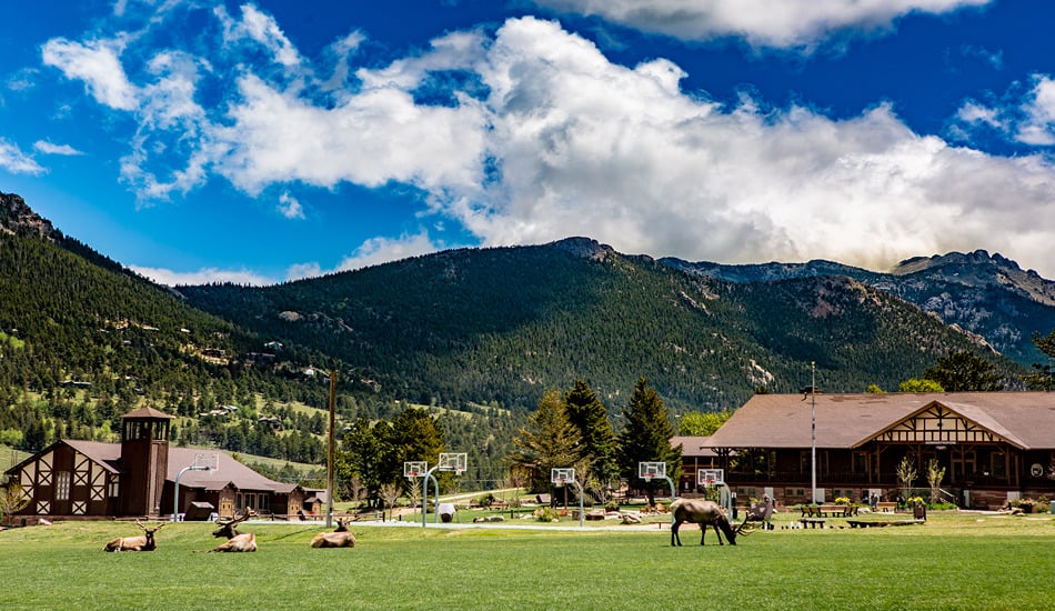 deer eating grass with teh Rockies in the distance