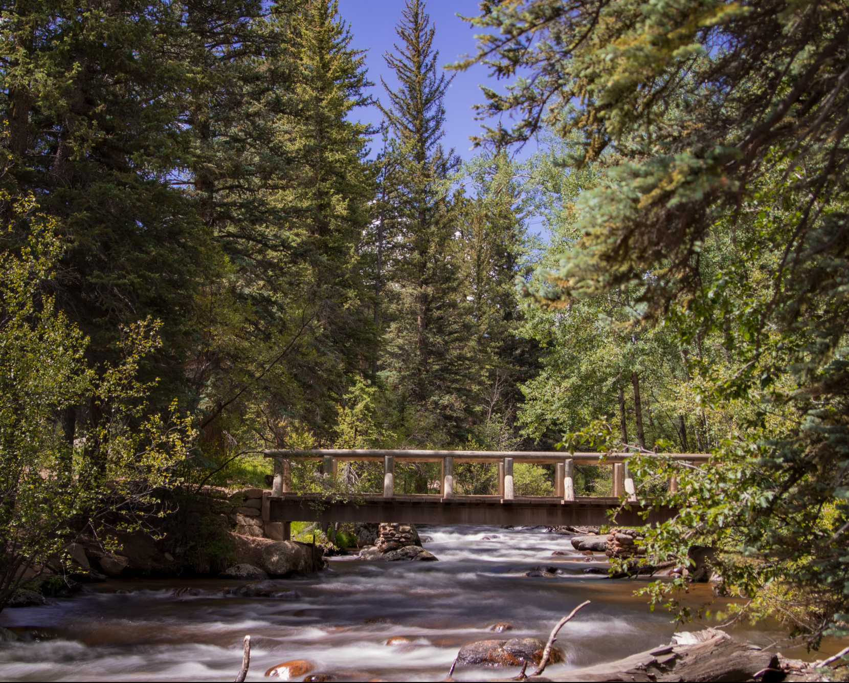 pequeño puente de madera sobre el arroyo glaciar