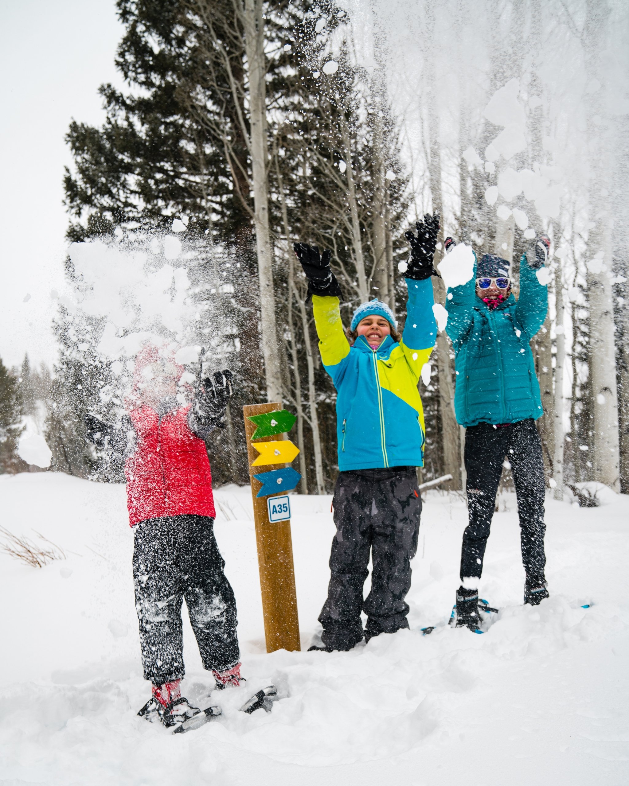 Children playing in the snow