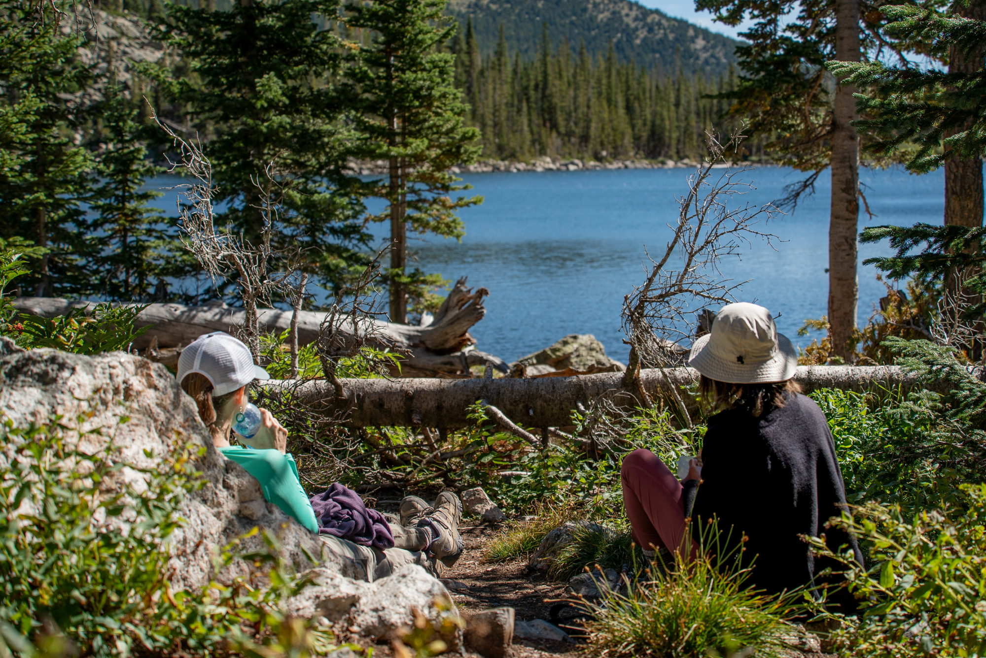 people sitting on the forest looking at a lake