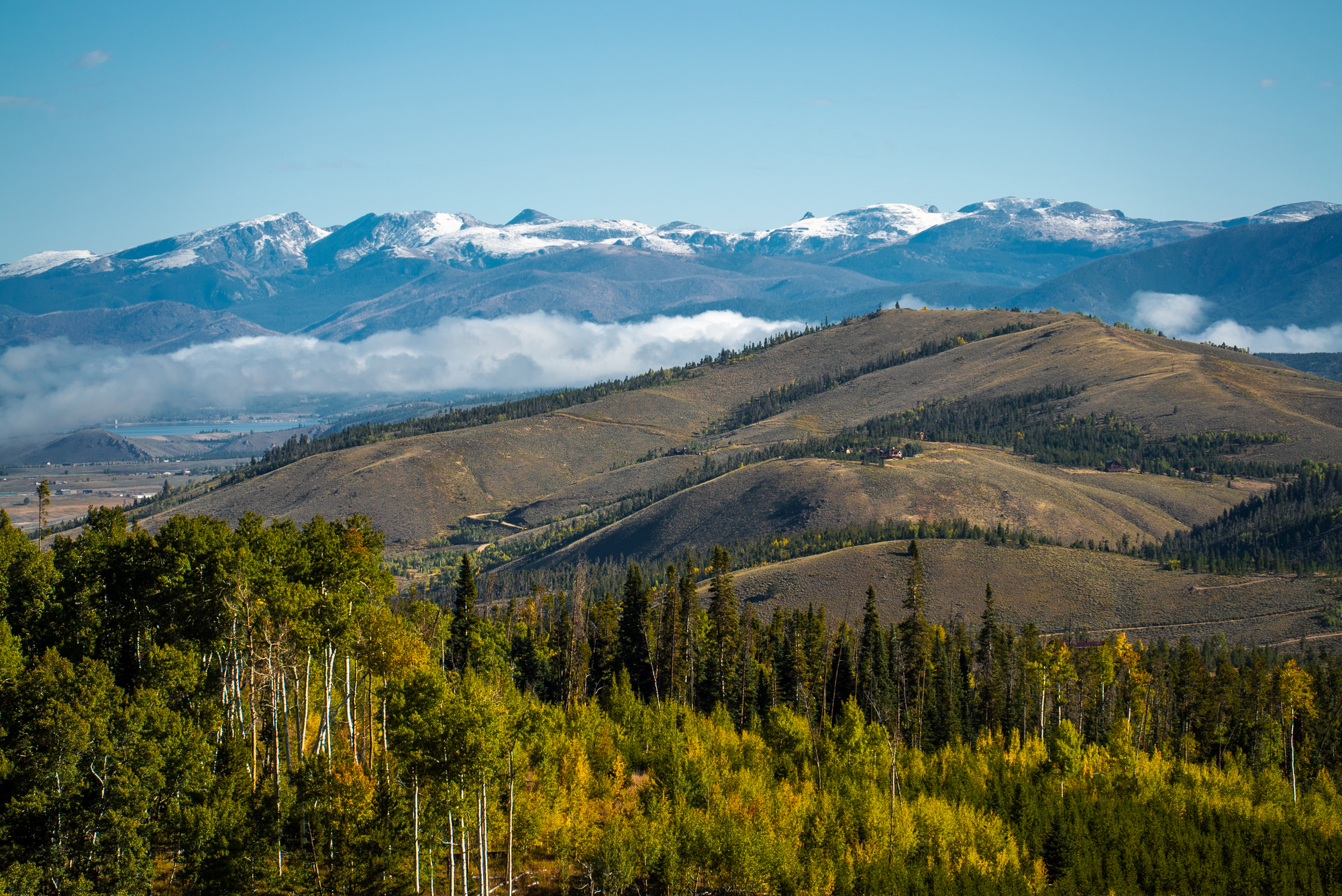 trees and mountains