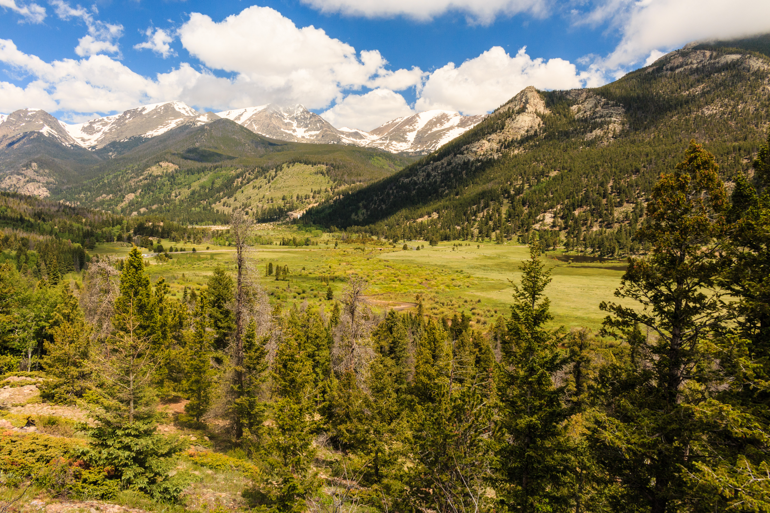 landscape of mountains and trees