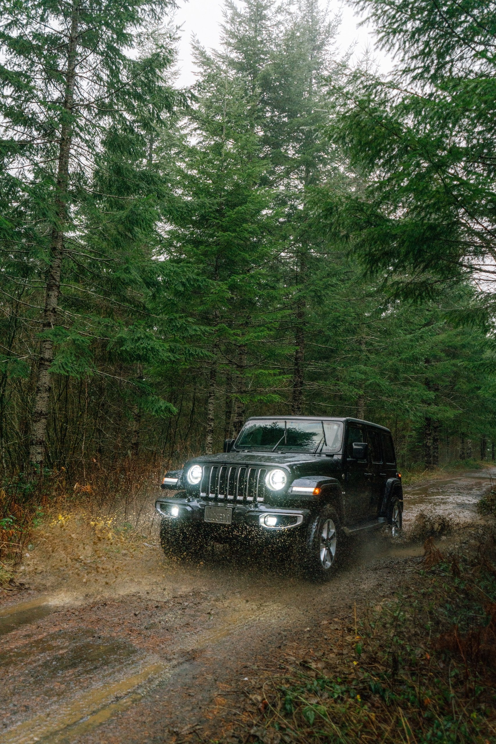 A jeep on an untarred road